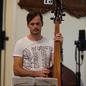 Violone
