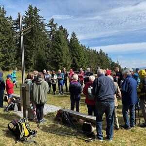 in Sandl am Viehberg