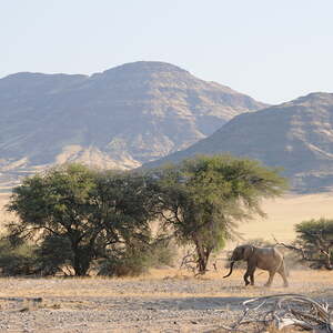 Reise nach Namibia und Botswana