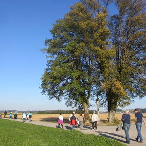 Fußwallfahrt