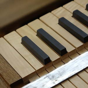 Truhenorgeldetail