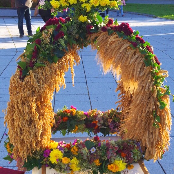 Erntekrone 2024 / Anni Simböck