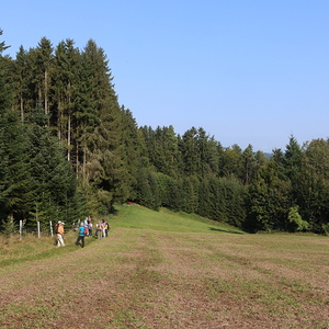 Wandertag